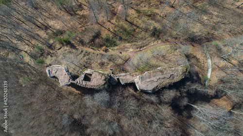 Château dans la forêt en drone, caméra vers le bas