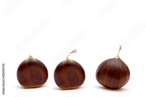 Fresh raw sweet chestnuts(Castanea sativa) isolated on a white background