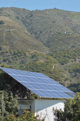 Solar panel in a agricultural plantation photo