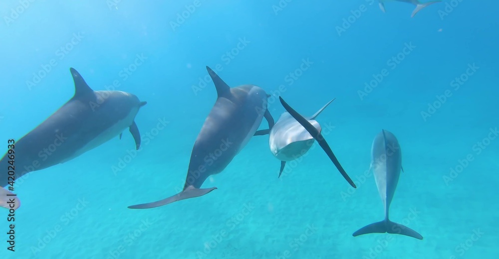 Naklejka premium Hawaii Awesome Nature Wallpaper in High Definition