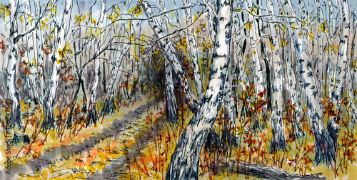 In a birch forest. Autumn landscape. Drawing with markers. Handwork.