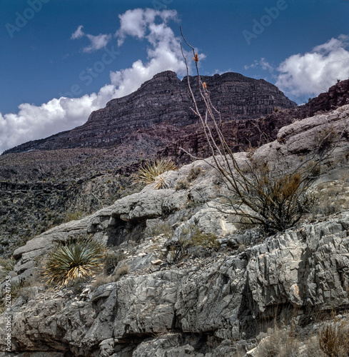 Desert New mexico  USA Alomogordo photo