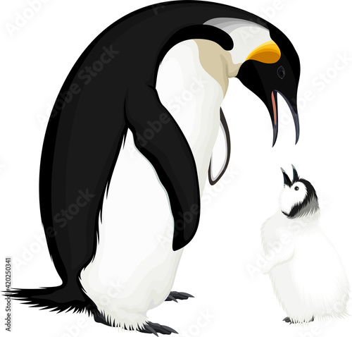 vector wild Emperor penguin with kid 