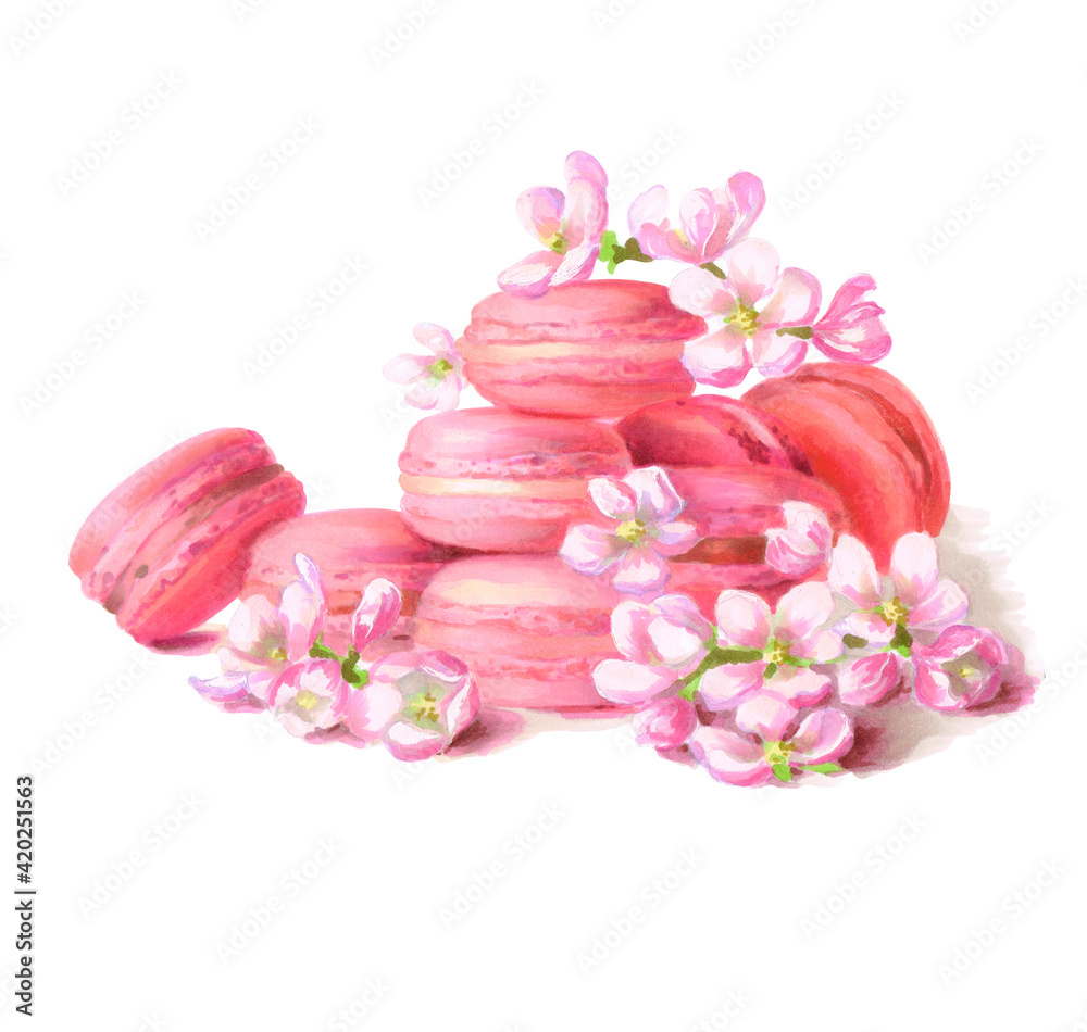 Macarons cakes with flowers. Markers. The images are hand-drawn and isolated on a white background.