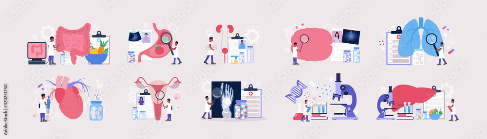 Flat vector set of sections of medicine Flat vector set of sections of medicine