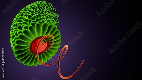 3d illustration of tobacco mosaic virus. photo