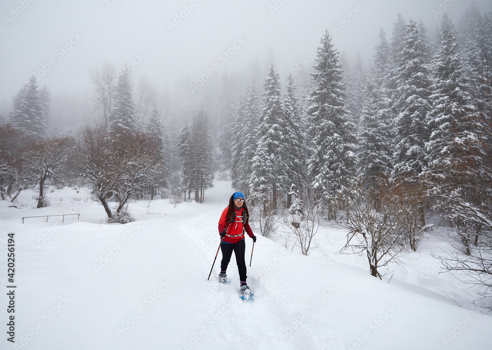 Traveler with snowshoes at snow forest in the mountains