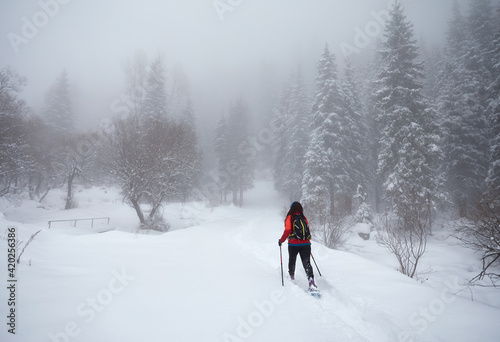 Traveler with snowshoes at snow forest in the mountains © pikoso.kz
