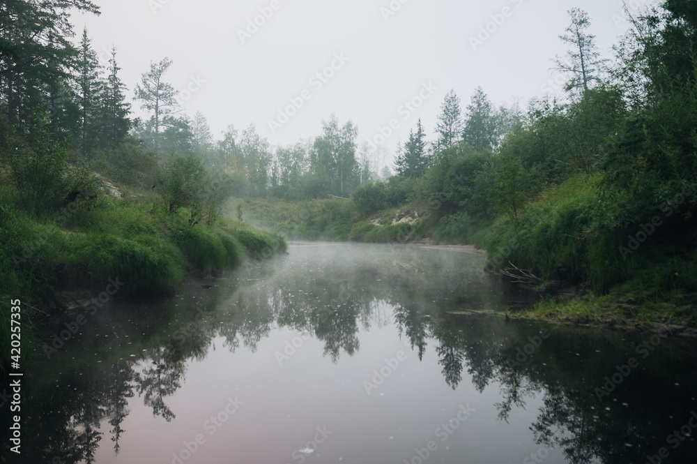 River and forest on an early summer morning in fog River and forest on an early summer morning in fog