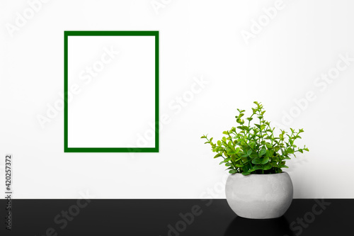 Green plant in a pot. Empty frame on the wall.