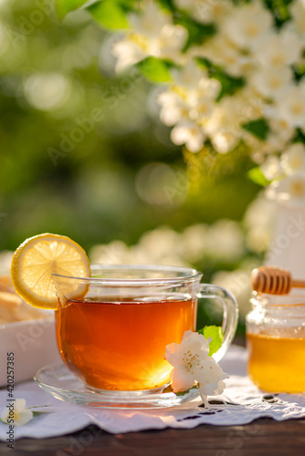 Glass cup with tea and lemon, honey dipper, pastries, croissants, white metal jug with a bouquet of jasmine branches on a wooden table among flowering bushes. Outdoor, picnic, brunch, sunrise, sunset.