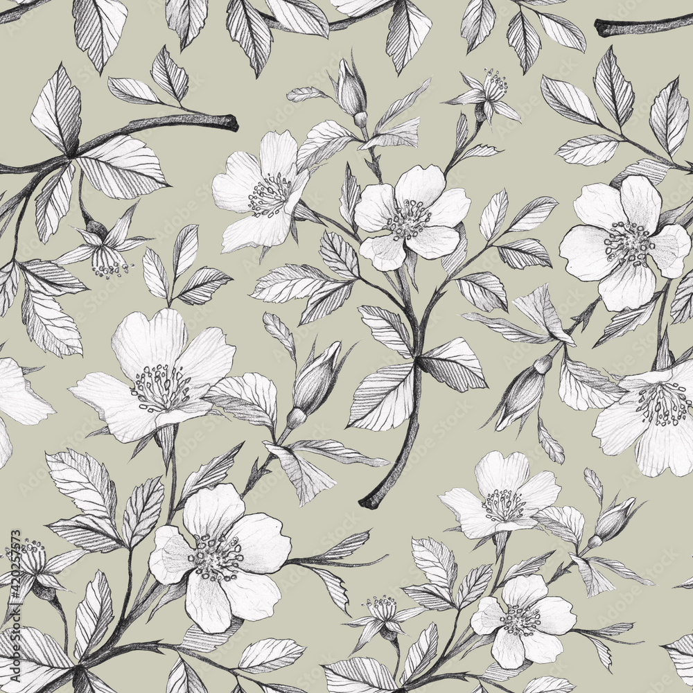 Pencil drawn seamless pattern with apple flowers. Botanical pattern for textile, wrapping, wallpaper. Floral ornament in vintage style.