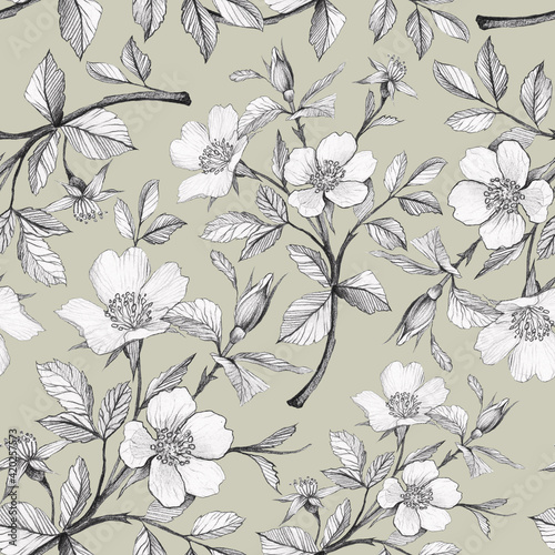 Pencil drawn seamless pattern with apple flowers. Botanical pattern for textile, wrapping, wallpaper. Floral ornament in vintage style.