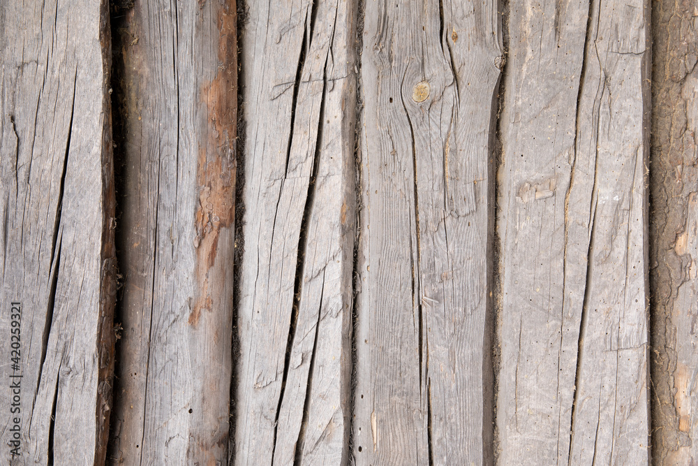 Wooden plank background. Cracked old tree