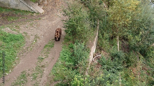 Landscape of Bern, the capital of Switzerland