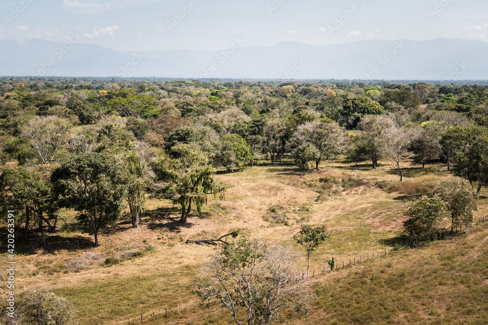 vista aerea en Aguachica Cesar_Colombia, terrenos de ganaderia extensiva
aerial view in Aguachica Cesar_Colombia, extensive livestock land