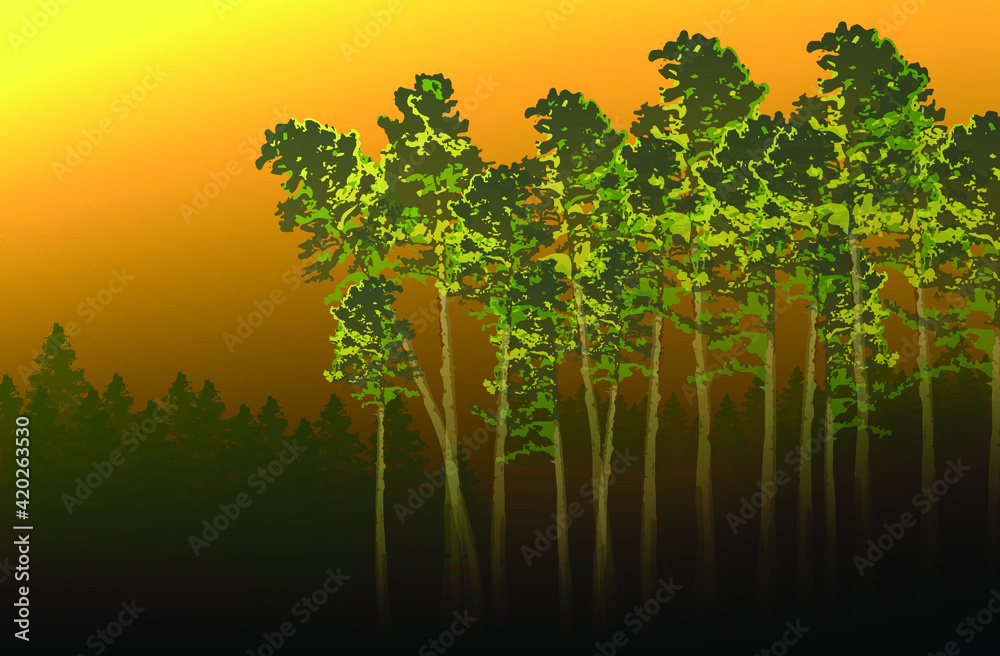 Obraz premium Landscape. Morning in the pine forest. Vector illustration of pines and firs on the background of the early morning dawn. A blank for creativity.