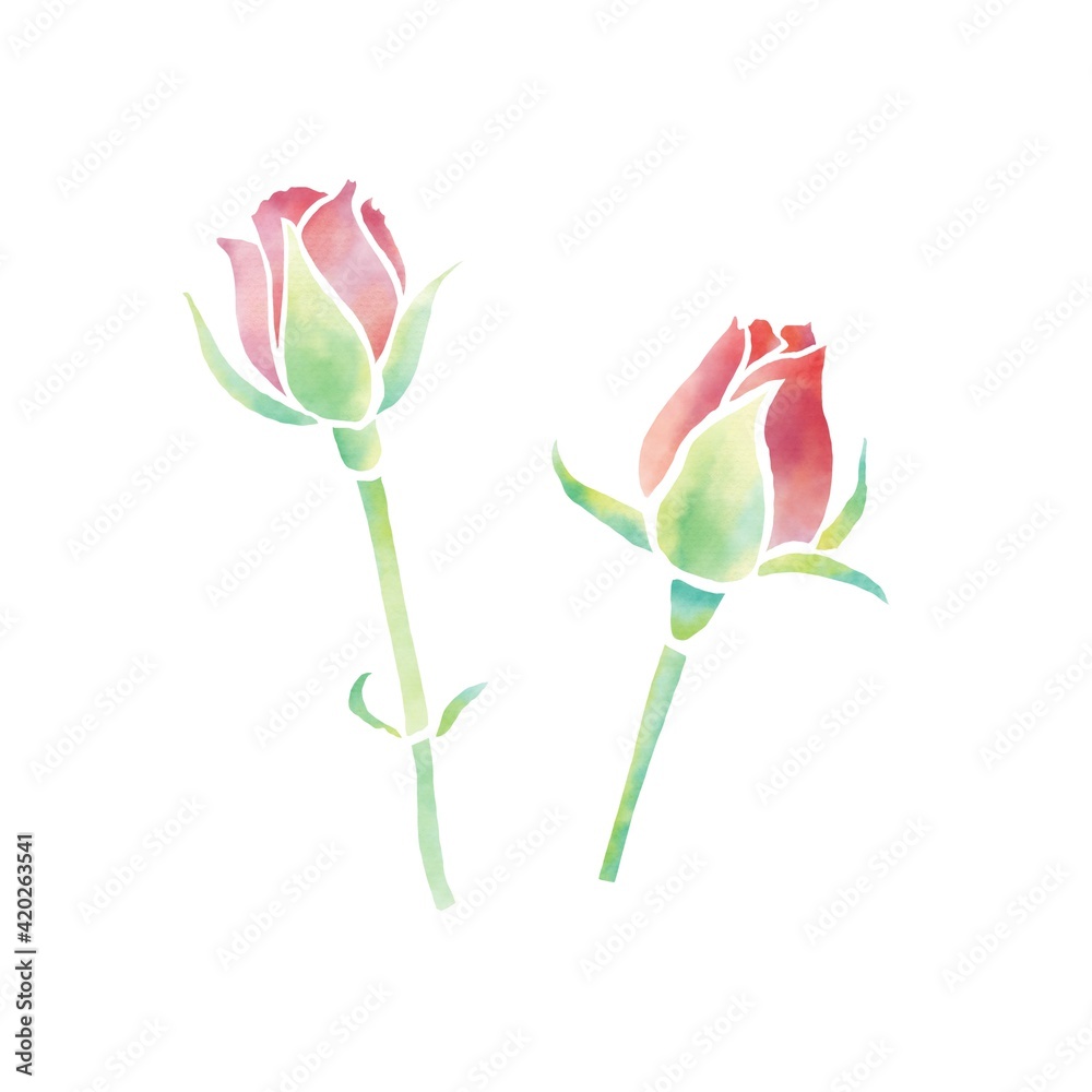 水彩風の赤い薔薇の蕾 水彩風の赤い薔薇の蕾