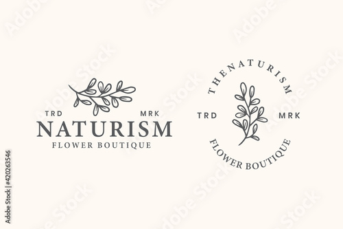 leaf nature logo template vector