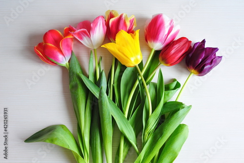 Bouquet of pink, yellow and violet tulips on white table