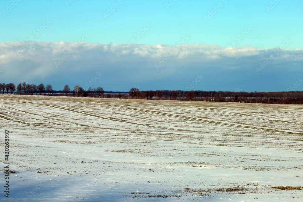 winter landscape with field and snow winter landscape with field and snow