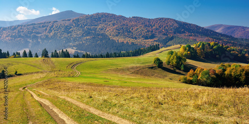 mountainous countryside in autumn. rural road through grassy pastures on hills rolling in to the distance. forest in colorful foliage. bright sunny day with bright blue sky