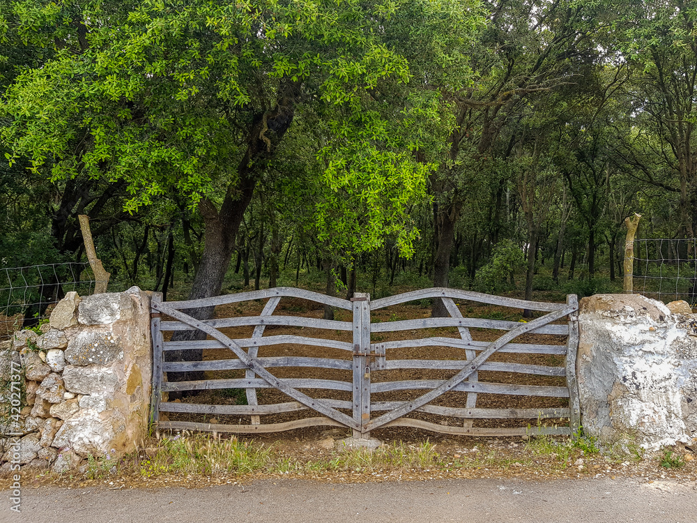 wooden gate near Alaro on the baleaaric island of Mallorca, Spain wooden gate near Alaro on the baleaaric island of Mallorca, Spain