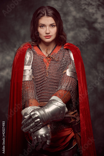 Fototapeta Naklejka Na Ścianę i Meble -  beautiful female knight