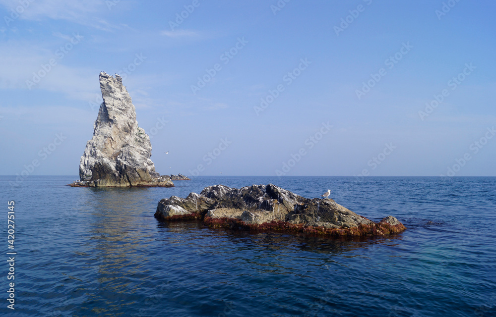 seascape with rock and seagulls
