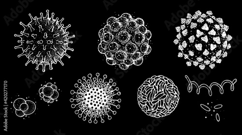 Different kinds of virus, sketch collection. Hand drawn illustration, vintage engraved style. Respiratory virus infection. Corona virus. Coronavirus 2019-nCoV and other viruses. Macro drawing.
