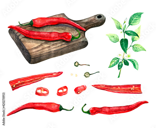 Watercolor set of red chili peppers, twigs with leaves and cutti