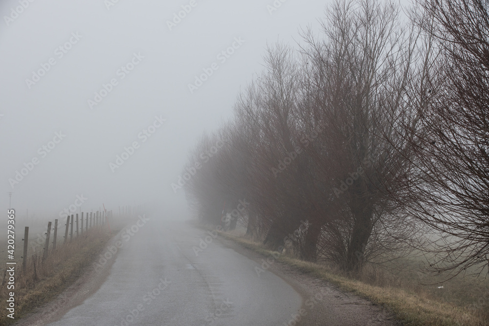 Obraz premium Foggy Day in Skåne