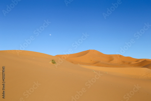 Sahara desert © Rafael Prendes