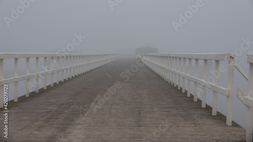 Foggy Day in Sk  ne