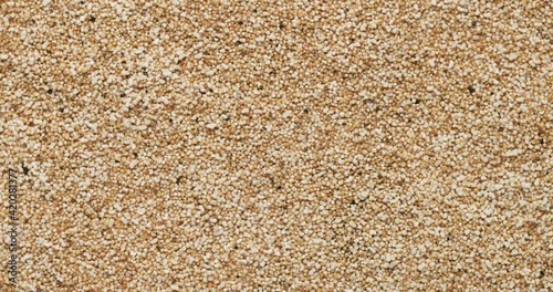 Closeup amaranth groats rotation, background, texture. Slow motion 50fps, zoom effect. Food background.