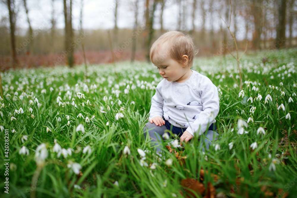 Cute one year old baby girl sitting on the grass with many snowdrop flowers in park or forest Cute one year old baby girl sitting on the grass with many snowdrop flowers in park or forest