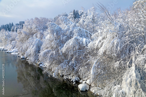 Winter - Iller - Fluß - Schnee - Sonthofen - Allgäu - Bäume photo