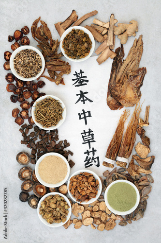 Chinese fundamental herbs most regularly used in herbal medicine with calligraphy script on rice paper on grunge background. Top view. Translation reads as chinese fundamental herbs. 