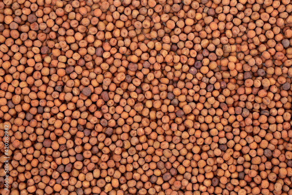 Fototapeta premium Organic carlin peas forming an abstract background. Very high in protein, low in fat, high in fibre & anthocyanins. Flat lay, top view.