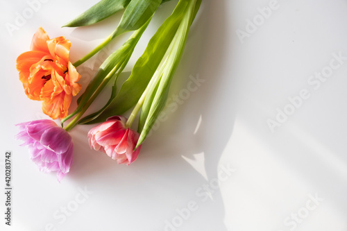A bouquet of flowers laid out on a light background. Bouquet for March 8, Mother's Day, Teacher's Day.