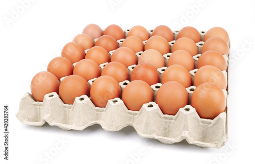 Brown chicken eggs in the cardboard egg tray with rooms for thirty eggs isolated on white background.                   photo