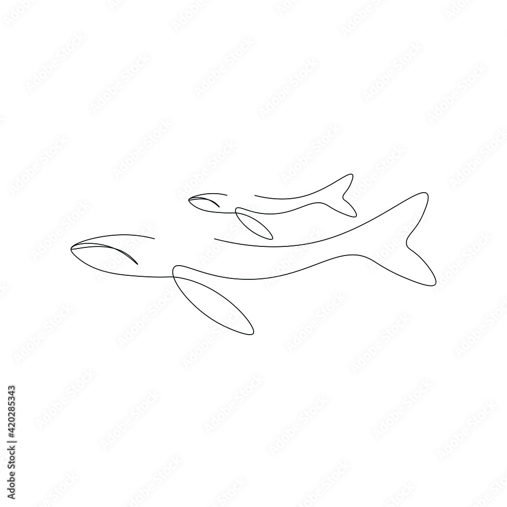 Whale animal line drawing, vector illustration Whale animal line drawing, vector illustration