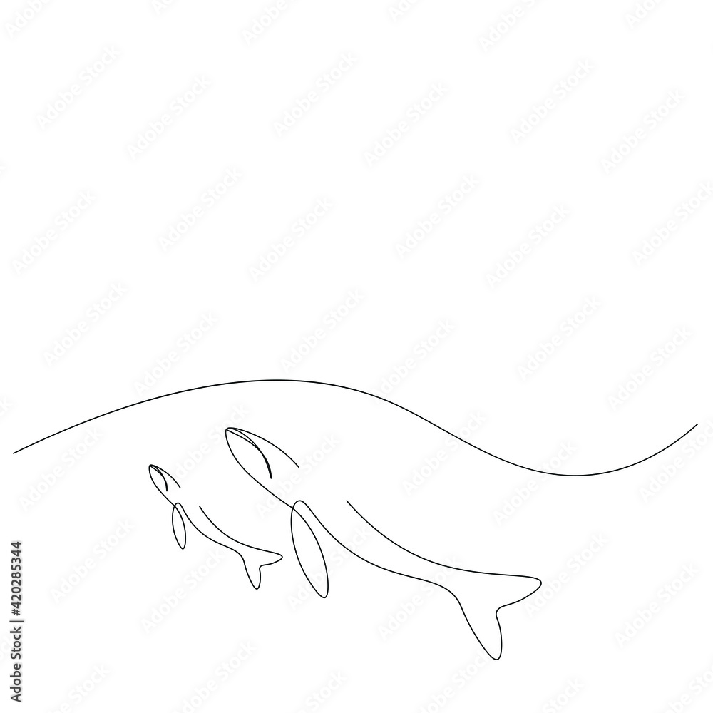 Whale animal line drawing, vector illustration Whale animal line drawing, vector illustration