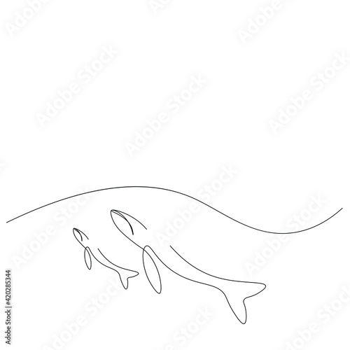 Fototapeta Naklejka Na Ścianę i Meble -  Whale animal line drawing, vector illustration