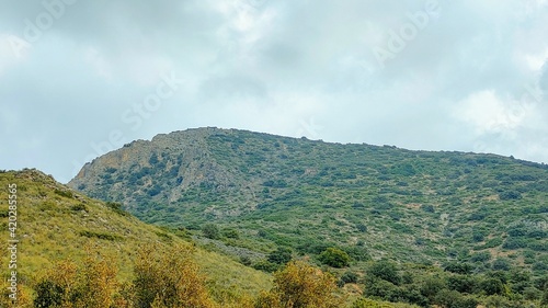 landscape in autumn