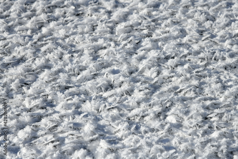 Schneekristalle auf einer Eisfläche Schneekristalle auf einer Eisfläche