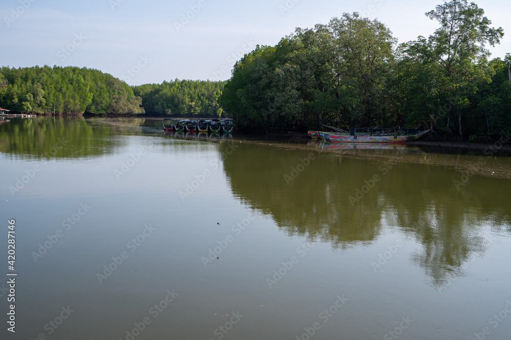 reflection of trees in the water