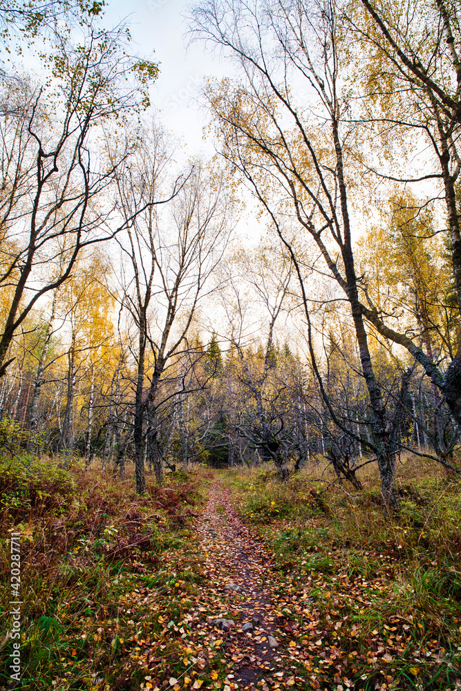 Lovely autumn day