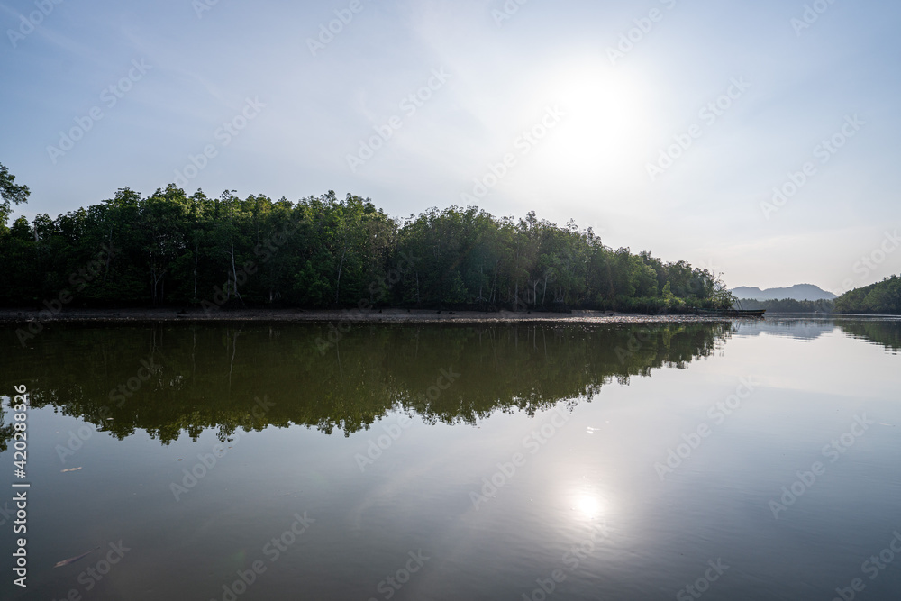reflection of trees in the lake