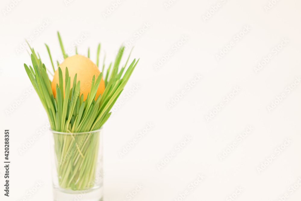 A simple Easter composition. The egg, painted with bright paint, lies in a stand with green grass. White background